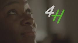 4H